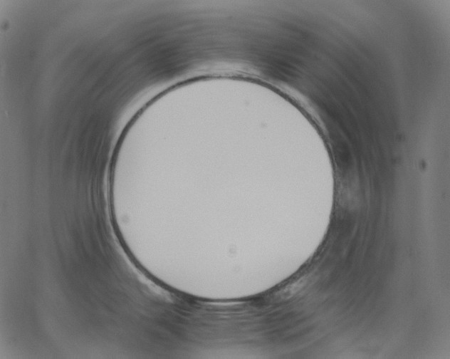 X0000062901343200602101757