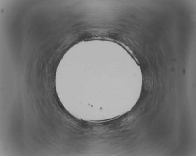 X0000062901345200602101756