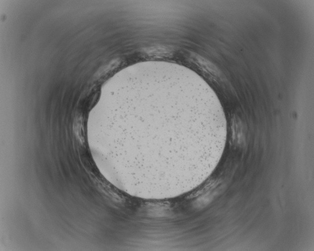 X0000062901346200602101756