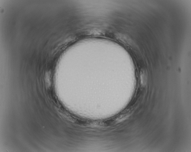 X0000062901347200602101756