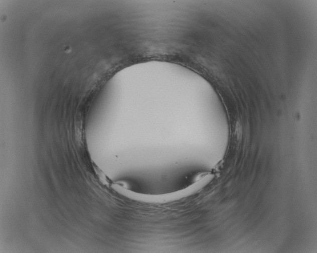 X0000062901348200602101756