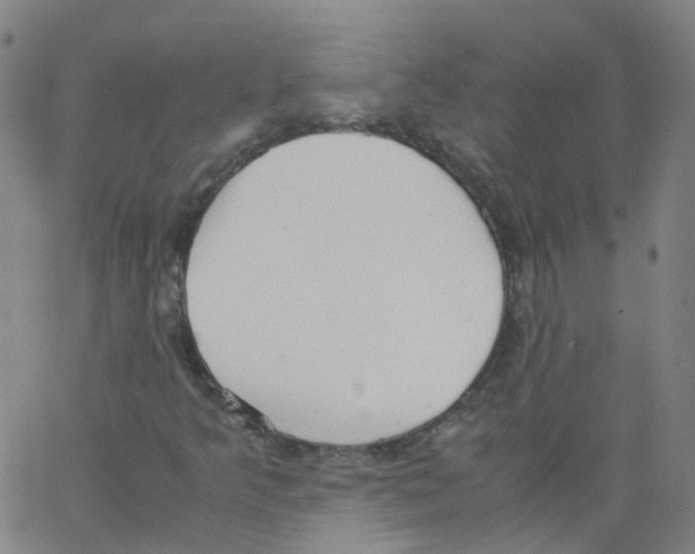 X0000062901349200602101756