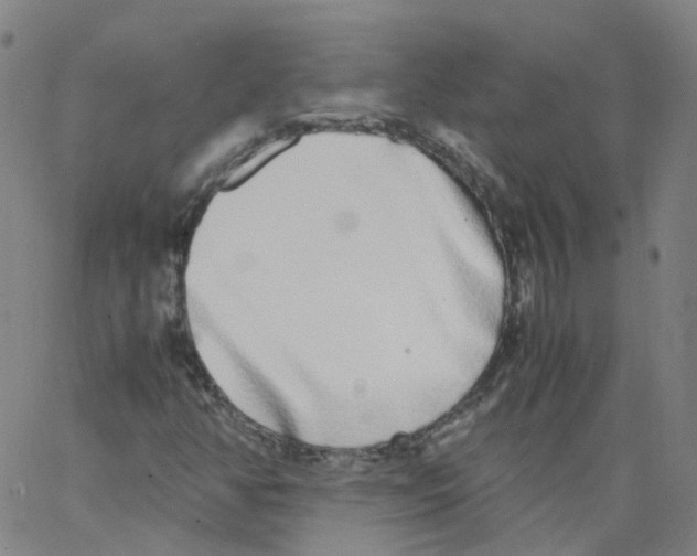 X0000062901350200602101756