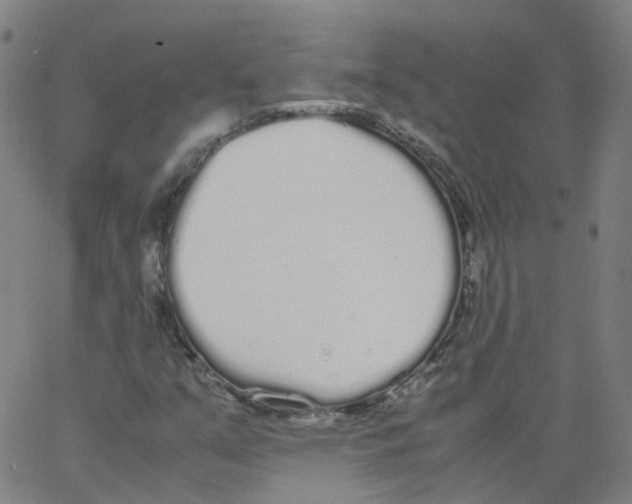 X0000062901351200602101756