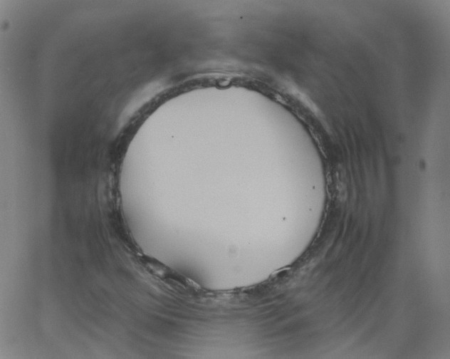 X0000062901352200602101756