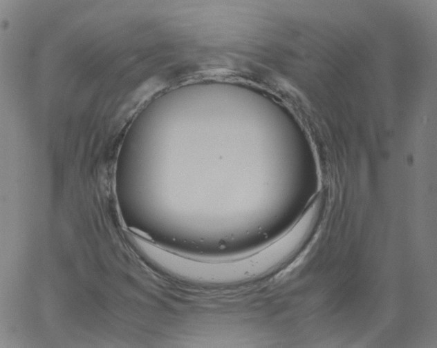 X0000062901353200602101756