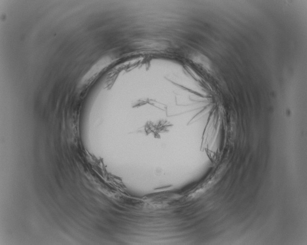 X0000062901354200602101756