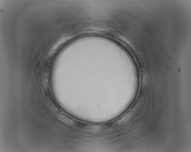 X0000062901355200602101756