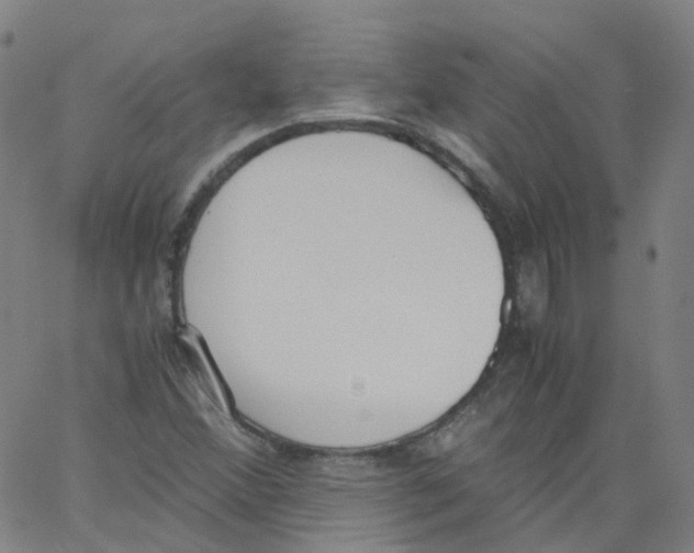 X0000062901356200602101756