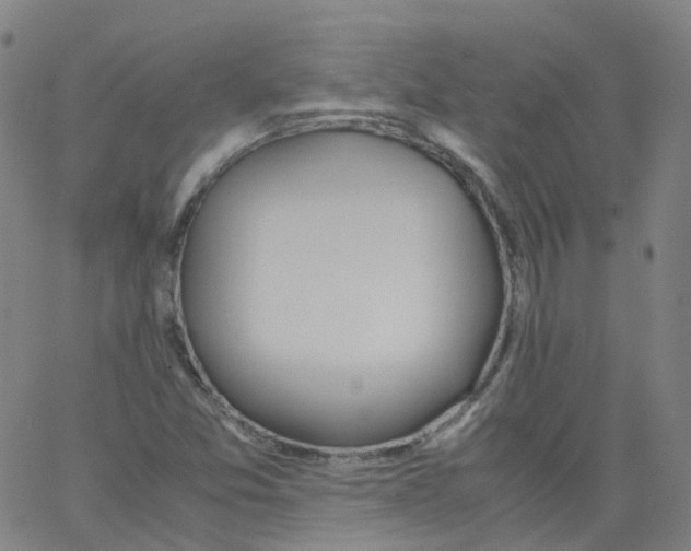 X0000062901357200602101756