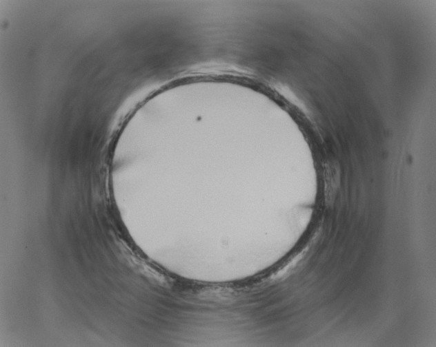 X0000062901358200602101756