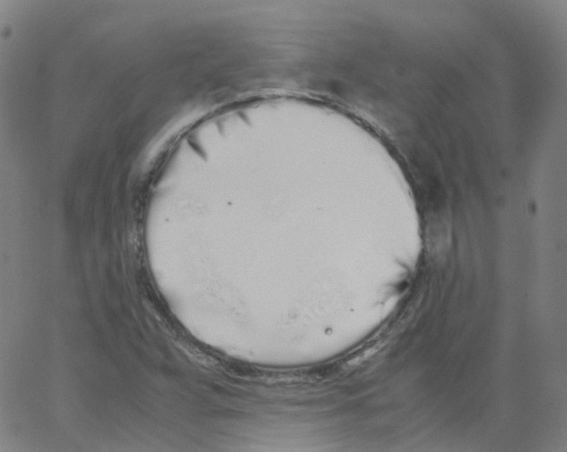 X0000062901359200602101756