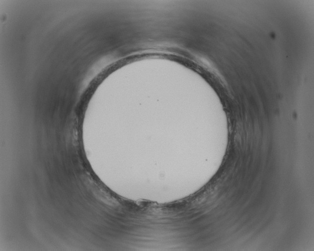 X0000062901360200602101756