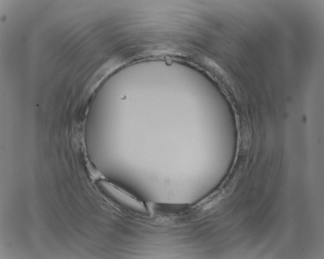 X0000062901361200602101756