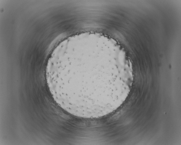 X0000062901362200602101756