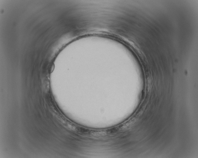 X0000062901363200602101756