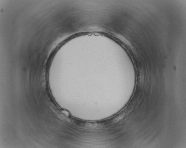 X0000062901364200602101756