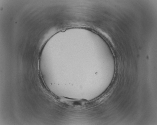 X0000062901365200602101756