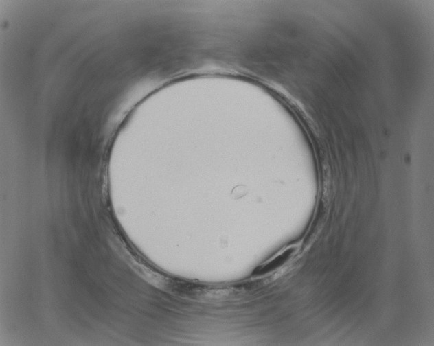 X0000062901367200602101756