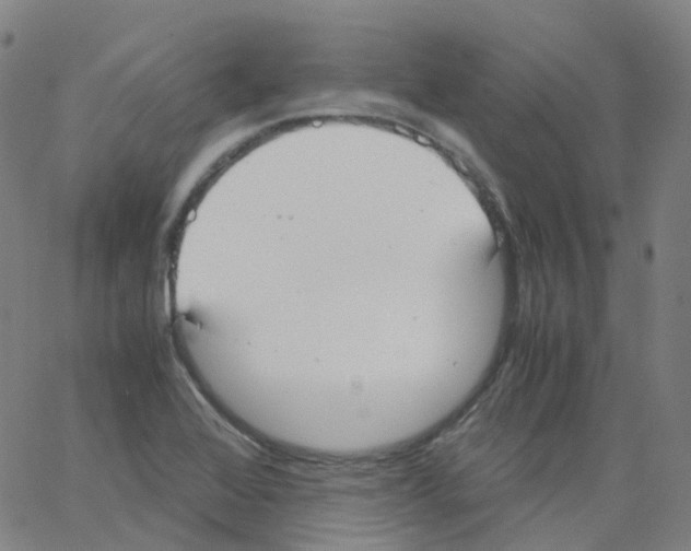 X0000062901368200602101756