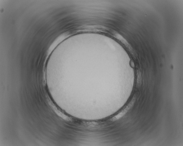 X0000062901370200602101756