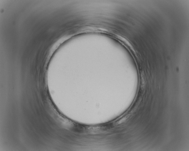 X0000062901371200602101756