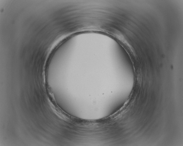 X0000062901372200602101756