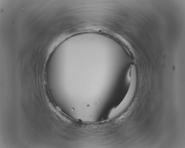 X0000062901373200602101756