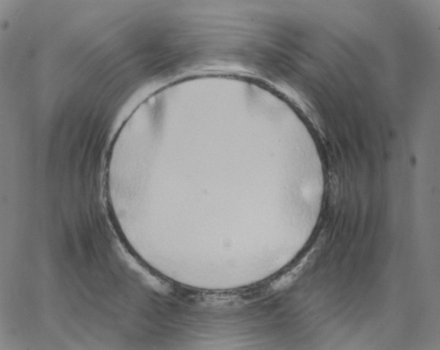 X0000062901374200602101756