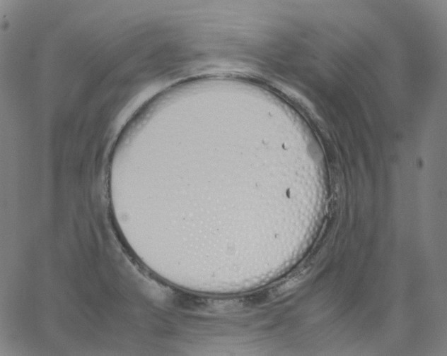 X0000062901375200602101756