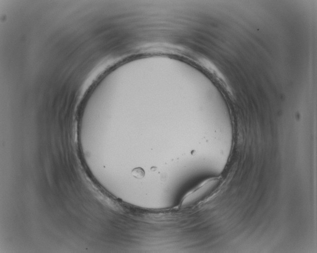 X0000062901376200602101756