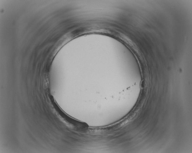 X0000062901377200602101756