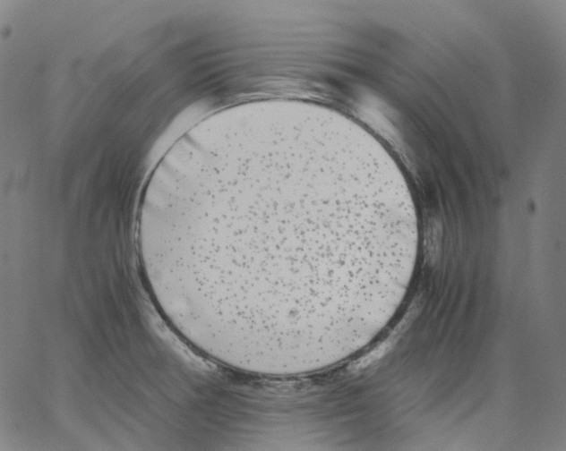 X0000062901378200602101756