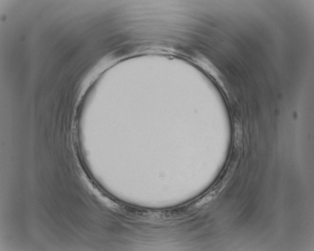 X0000062901379200602101756