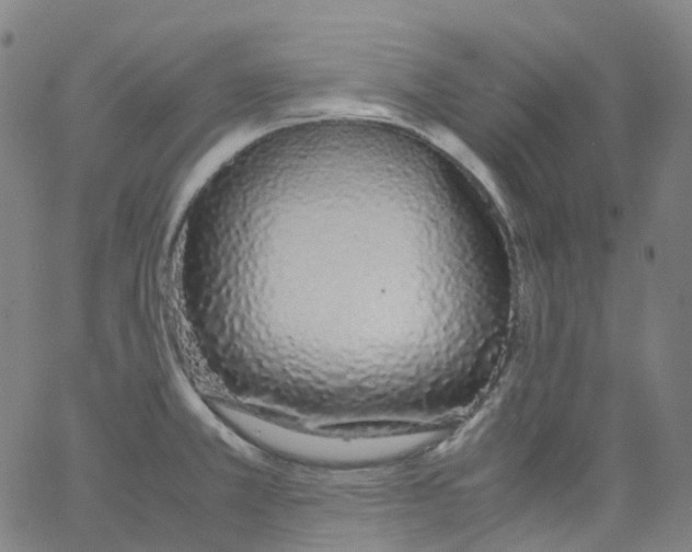 X0000062901381200602101756