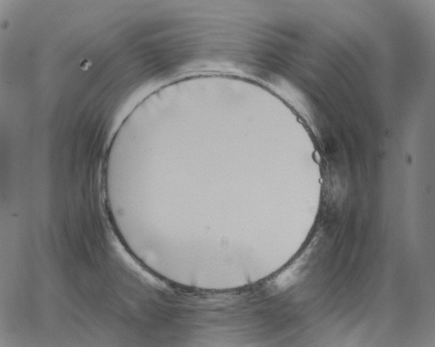 X0000062901382200602101756