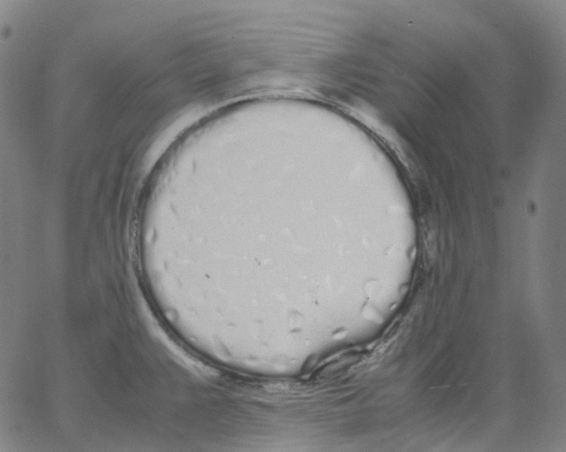 X0000062901383200602101756