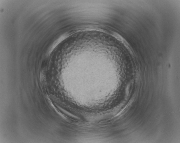 X0000062901385200602101756