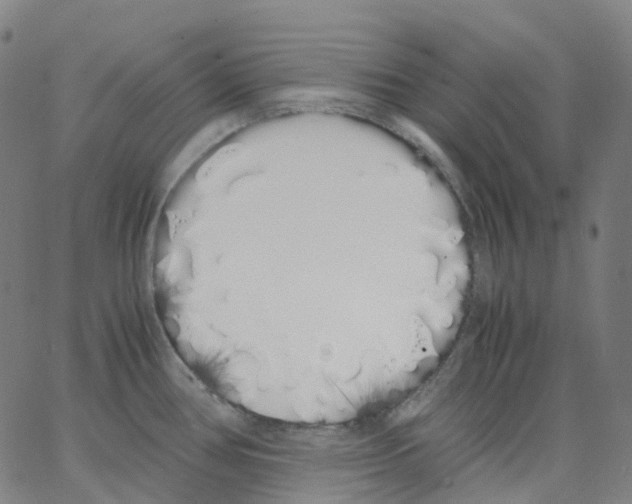 X0000062901386200602101756