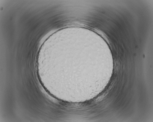 X0000062901387200602101756