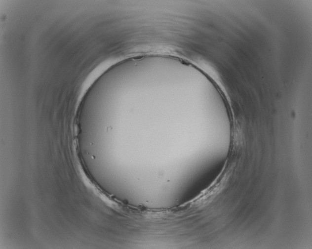 X0000062901389200602101756