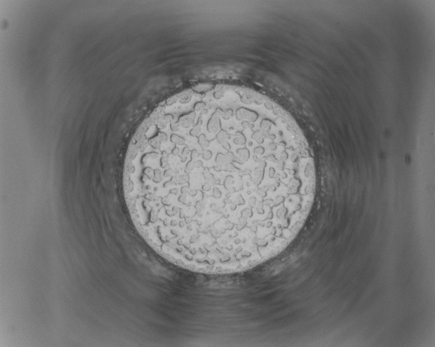 X0000062901393200602101755