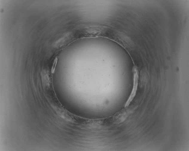 X0000062901394200602101755