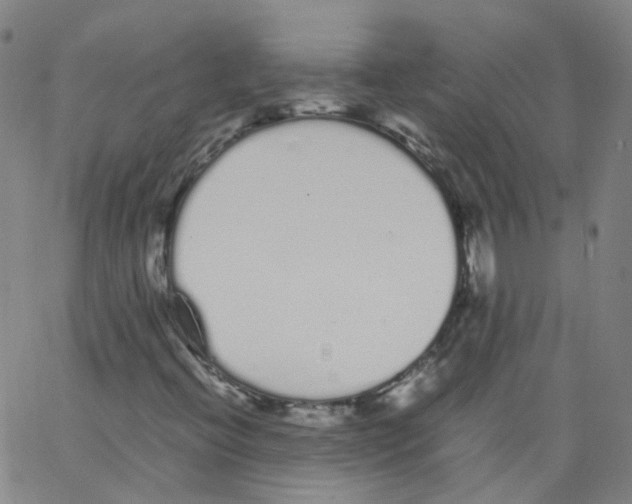 X0000062901396200602101755