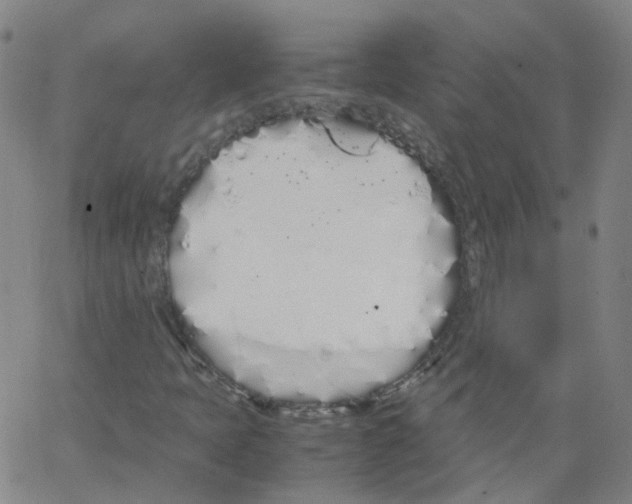 X0000062901397200602101755