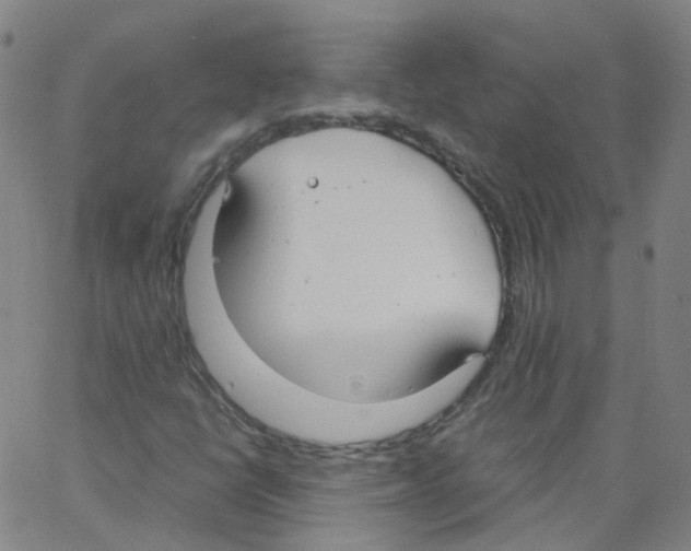 X0000062901398200602101755