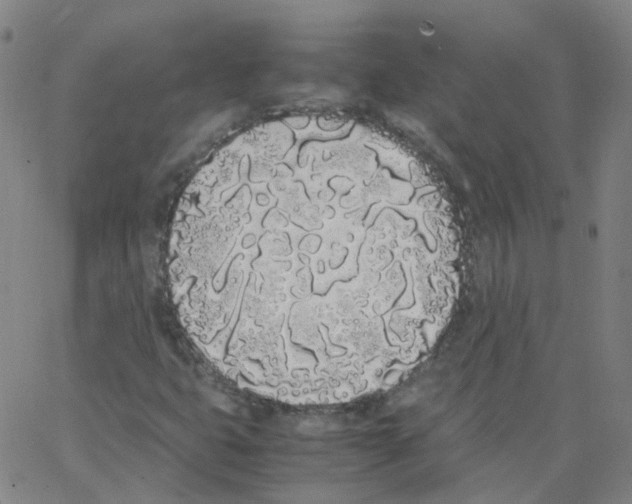 X0000062901399200602101755