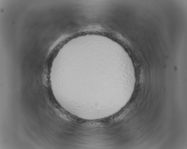 X0000062901400200602101755