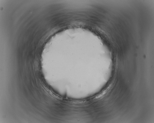 X0000062901401200602101755