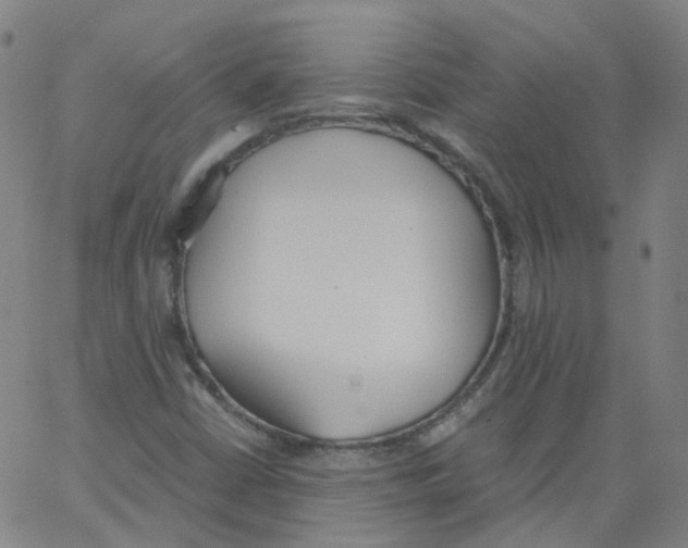 X0000062901402200602101755